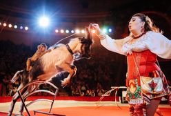 Szowinizm gatunkowy przyczyną szóstego wymierania na Ziemi. Tymczasem na psy wydajemy fortunę