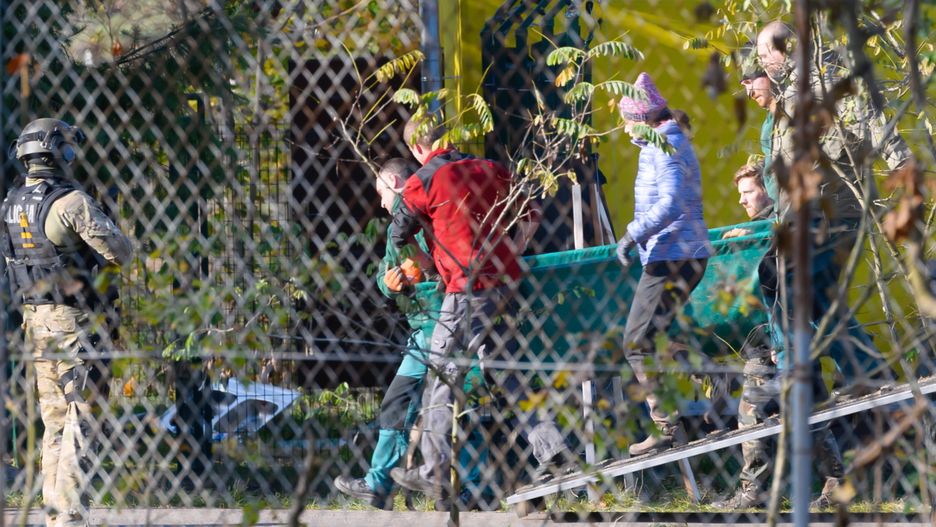 Uwięzione tygrysy. Dobre wieści z poznańskiego zoo