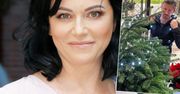 Adam Małysz dekorował choinkę, a Iza pochwaliła się efektem końcowym. Jak wyszło? Zdjęcia drzewka zapierają dech