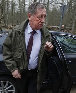 2 miliony drzew poszło pod topór. Skąd te liczby?
