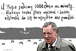 Imponujące tempo zalesiania Polski? Wiadomo, dlaczego Szyszko chce pozbyć się drzew i żubrów