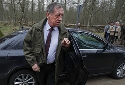 2 miliony drzew poszło pod topór. Skąd te liczby?