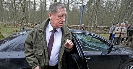 Ktoś ponacinał drzewa na działce Jana Szyszki. Nowe informacje