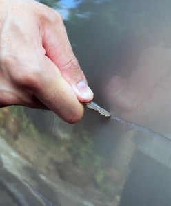 Rysy na lakierze samochodu - dlaczego powstają i jak je usunąć?