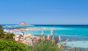 Włoska wyspa wprowadza płatny wstęp na plażę. Chcą ograniczyć liczbę turystów