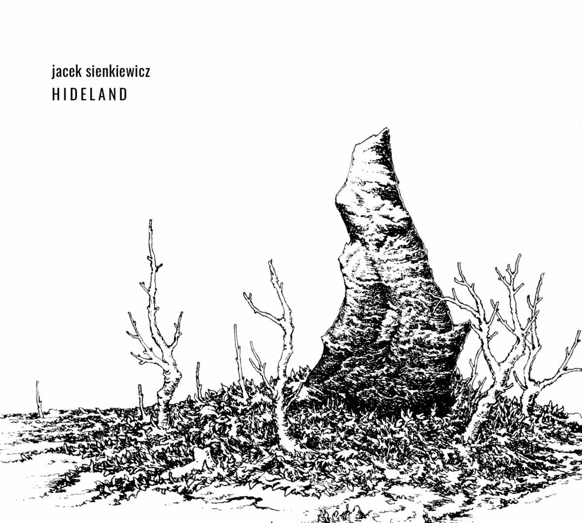 Jacek Sienkiewicz - "Hideland"