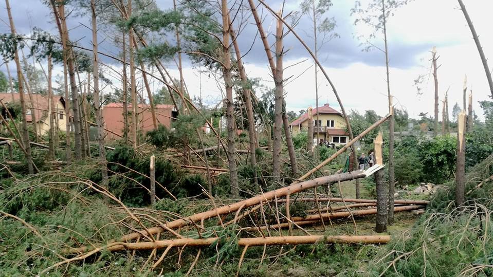 Leśnicy chcą pomóc ofiarom nawałnic. Jak? Chórem, marszem i... modlitwą w Puszczy Białowieskiej