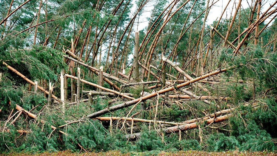 Zniszczenia na Pomorzu i Kujawach są ogromne