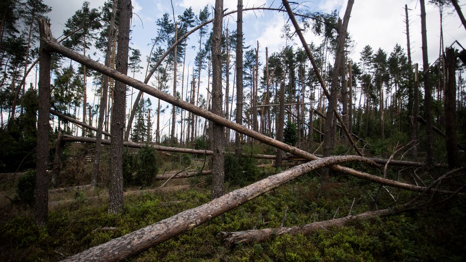 Nawałnica spustoszyła setki miejscowości w trzech województwach