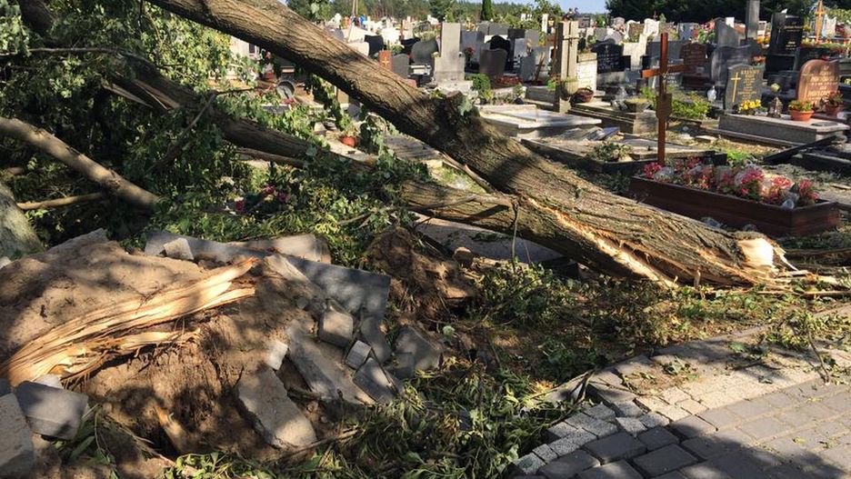 Zniszczenia po gwałtownej burzy w woj. pomorskim