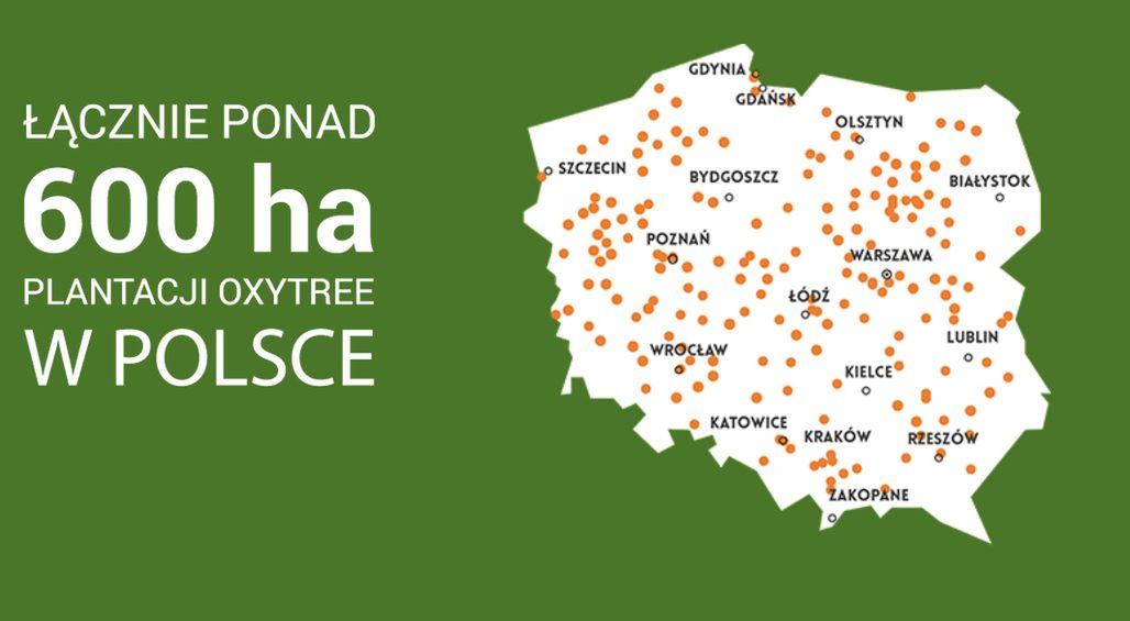 Plantacje Oxytree w Polsce 