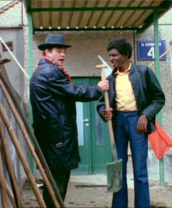 Polak udający czarnoskórego oburzył Amerykanów. Ciekawe, co by powiedzieli na "Alternatywy 4"