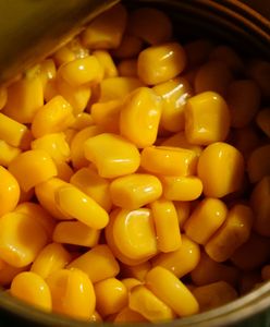 Kukurydza konserwowa – kalorie, wartości odżywcze, dieta, potrawy