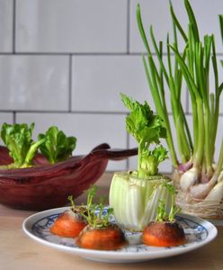 Wyhoduj warzywa z resztek. Domowy ogródek za grosze