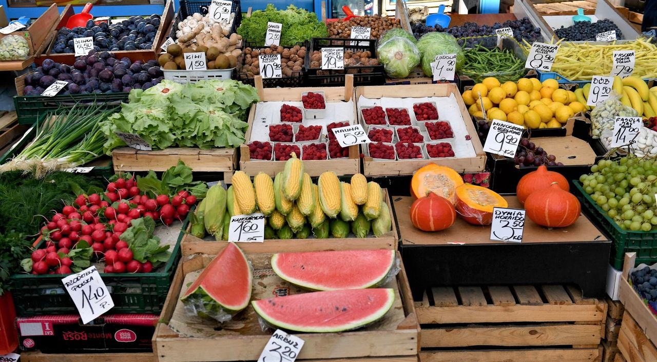 "Są takie dziedziny gospodarki, gdzie to państwo powinno ustalać ceny"