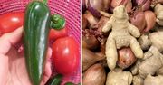 13 owoców i warzyw, które wyglądają jakby były wzięte z jakiejś kreskówki dla dzieci
