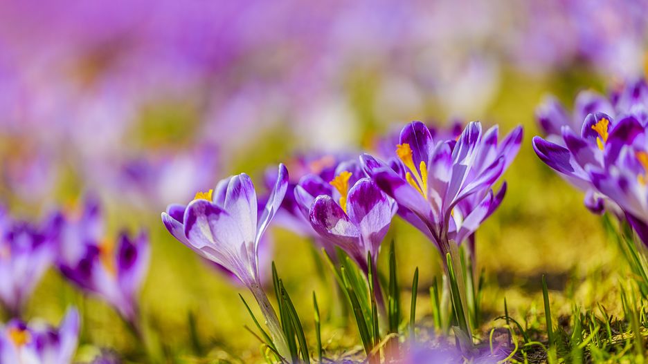 Prognoza pogody na dziś - piątek 15 marca.