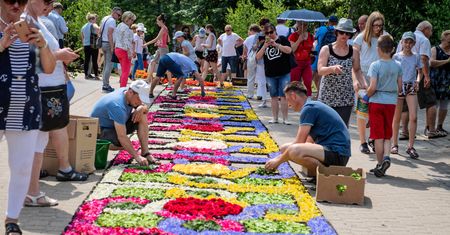 Lista UNESCO. Chcą wpisać dywany kwiatowe i sokolnictwo