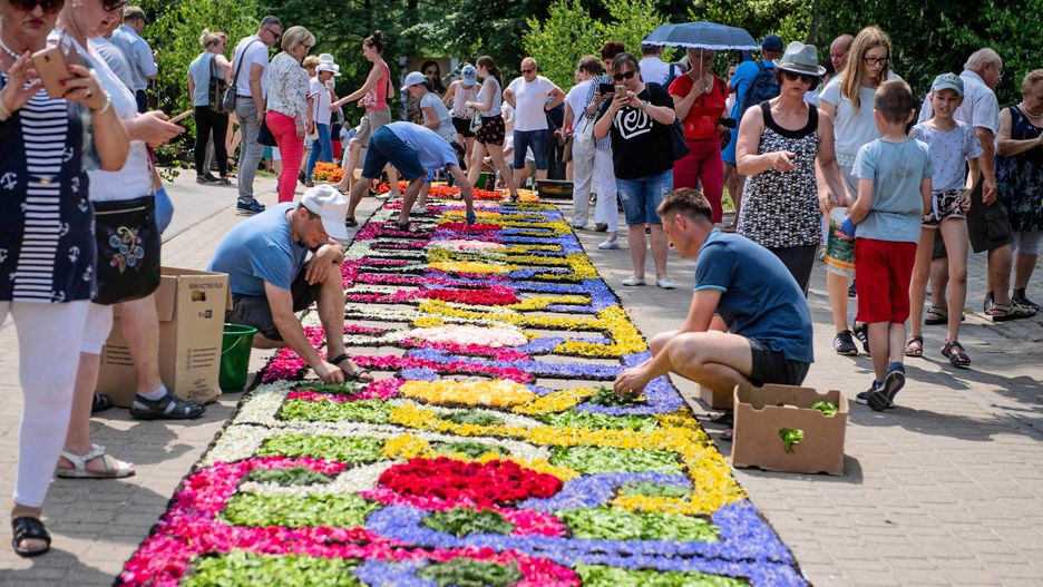 Tradycja układania dywanów kwiatowych ma ponad 200 lat