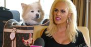 TYLKO U NAS! Iwona Burnat przyjaźni się z Lady Gagą: "Wysłała po nas samolot". To nie koniec ciekawostek z luksusowego życia Żony Hollywood [WIDEO]