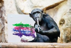 Obraz szympansicy Lucy wylicytowany w ramach WOŚP. Osiągnął zawrotną sumę