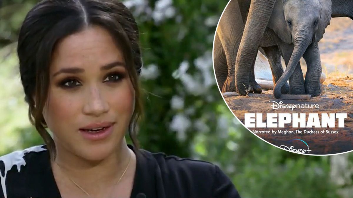 Czy Meghan Markle zgarnęła pieniądze, które miała przekazać na organizację charytatywną?