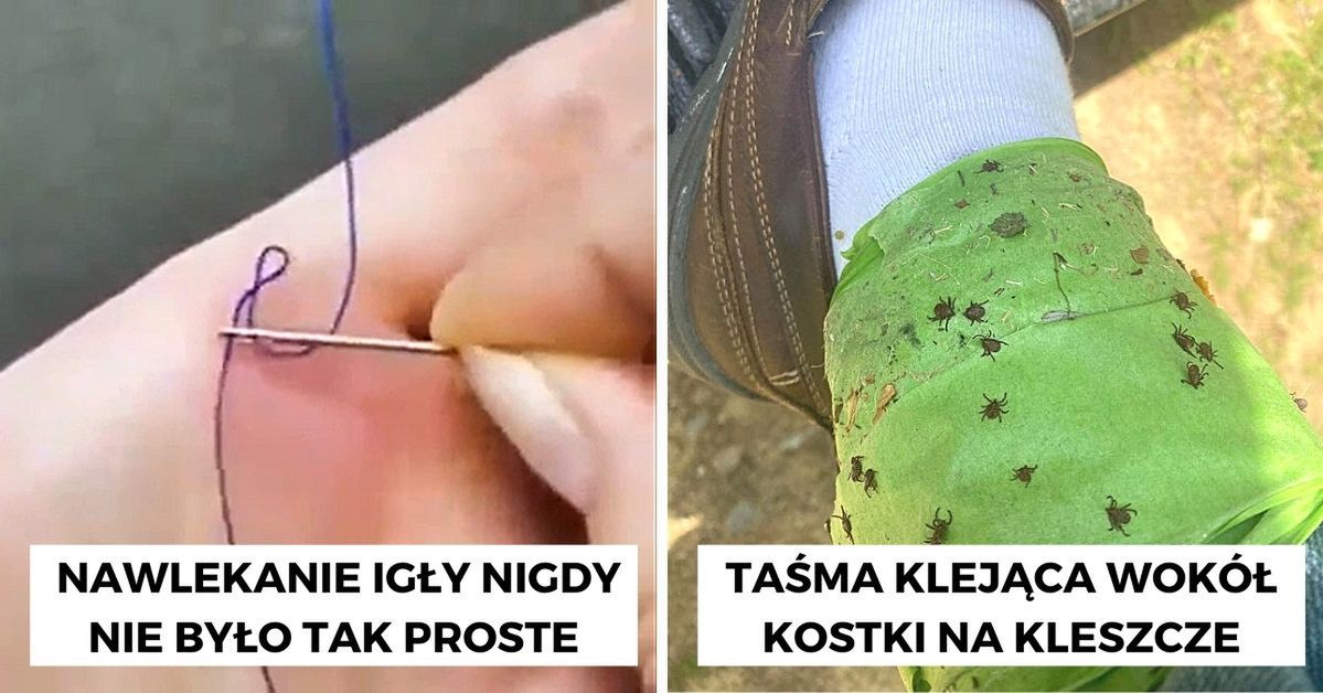 20 dowodów na niezwykłą kreatywność ludzi, której można szczerze pozazdrościć