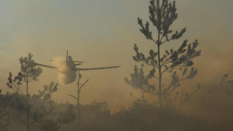 Pożar lasu w gminie Odrzywół. W akcji samoloty gaśnicze