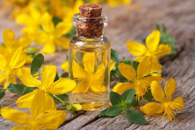 St. John's Wort ayuda con los problemas digestivos e incluso combate los síntomas de la depresión.  También es ideal para varices e insuficiencia venosa.