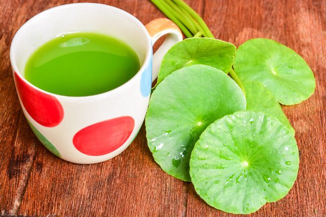 Gotu kola soutient la mémoire et la concentration.  Il peut également aider avec les varices douloureuses des jambes