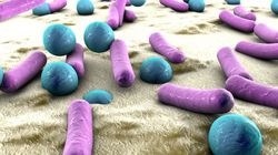 Flora bakteryjna pochwy - skład, rola, zaburzenia i leczenie