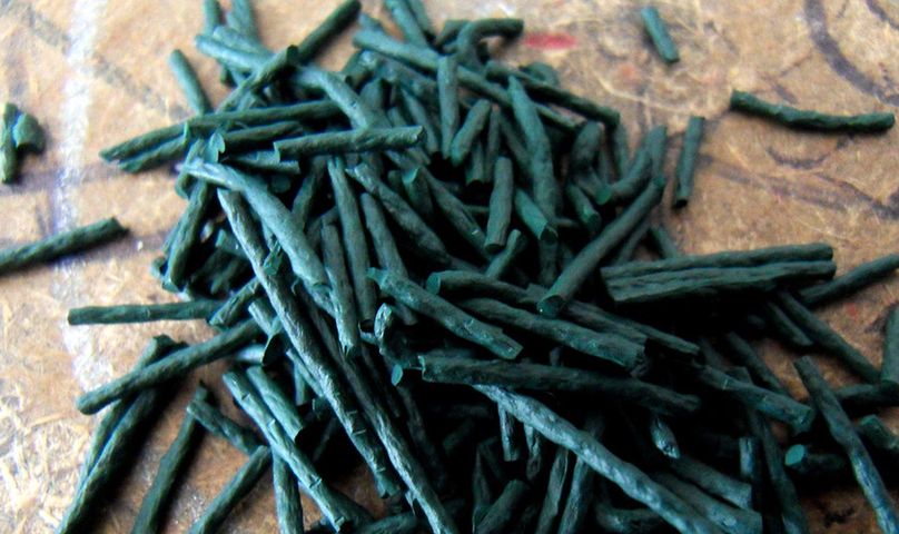 Spirulina to alga, która wyróżnia się bogactwem składników mineralnych i silnym działaniem prozdrowotnym