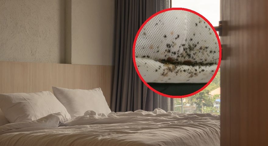 Sprawdź, na co uważać w hotelach, jeśli chcesz uniknąć infekcji i wstydliwych chorób