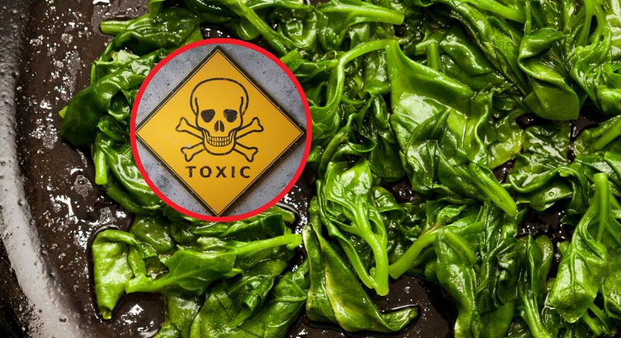 Badania wykazały, że aż 75 proc. wszystkich świeżych produktów zawiera pozostałości potencjalnie szkodliwych pestycydów