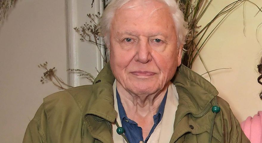 96-letni David Attenborough zdradza co wykluczył z diety. Twierdzi, że to sekret jego długowieczności