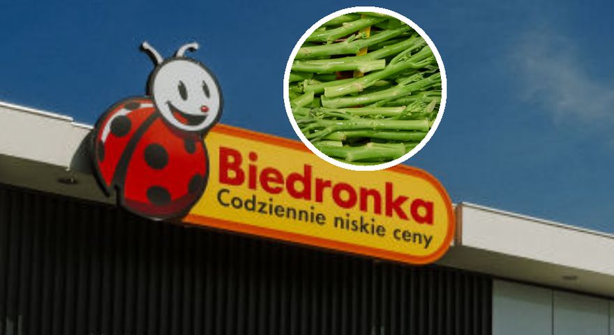 Niezwykłe warzywo w polskich dyskontach. Szukaj między brokułem i kapustą