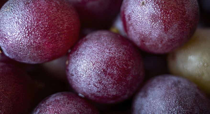 Jakie właściwości zdrowotne mają winogrona?