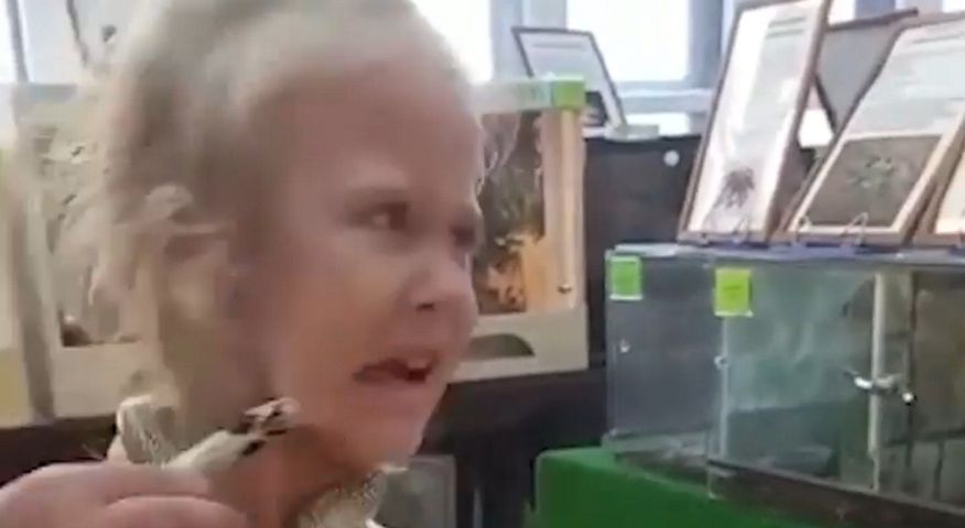 Rosja. Małą dziewczynką podczas pobytu w zoo ugryzł w twarz jadowity wąż