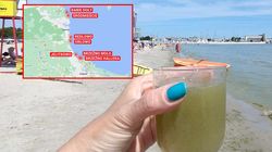 Toksyczne sinice opanowały Bałtyk. "Do zatrucia wystarczy wdychanie powietrza"