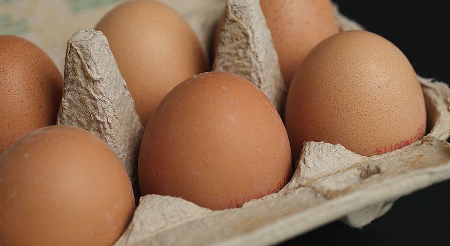 GIS ostrzega przez jajkami. Na powierzchni skorupek znaleziono bakterie Salmonelli