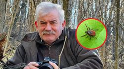 Kleszcze atakują nie tylko w lasach. Najpopularniejszy leśnik w Polsce zdradza, na jakie miejsca uważać