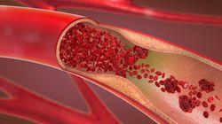 Tętnica - budowa, położenie, rola i rodzaje naczyń