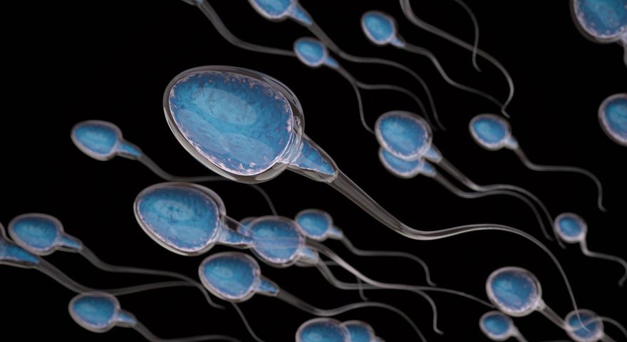 Naukowcy ostrzegają przed pogarszającą się jakością spermy w Europie