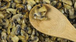 Grzyby mogą zmniejszać ryzyko demencji (WIDEO)