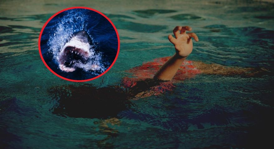 11-latek ma amputowaną nogę po tym, jak zaatakował go rekin