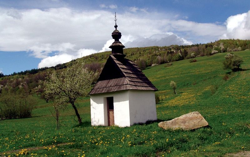 Obraz