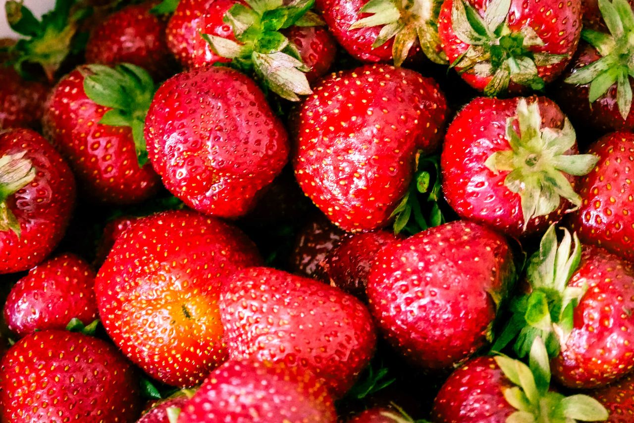 Truskawek nie powinno się przechowywać dłużej niż 1-2 dni. Nie należy wkładać ich do lodówki