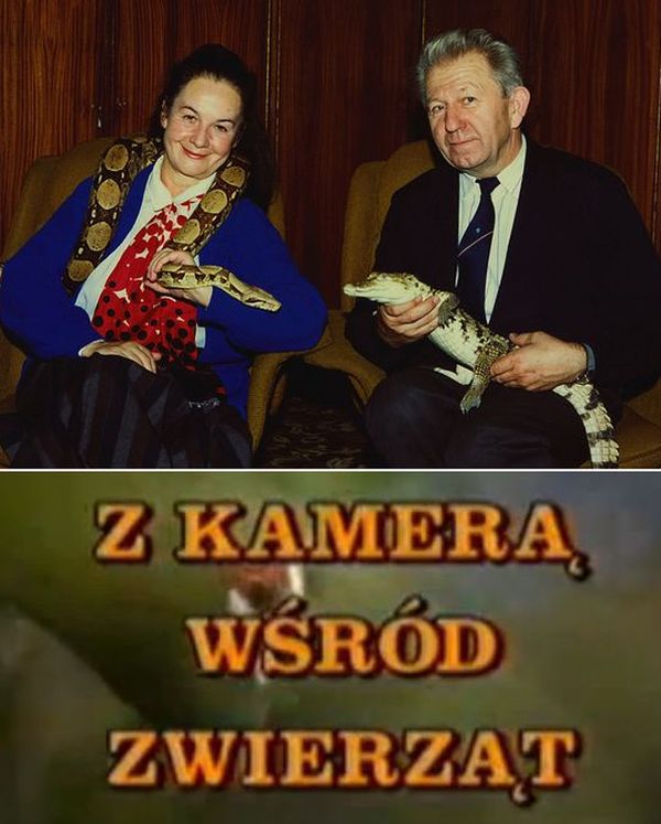 "Z kamerą wśród zwierząt": kultowy program, który nie powstałby, gdyby nie...