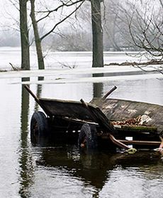 To zdarzyło się w Polsce!