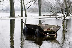 To zdarzyło się w Polsce!